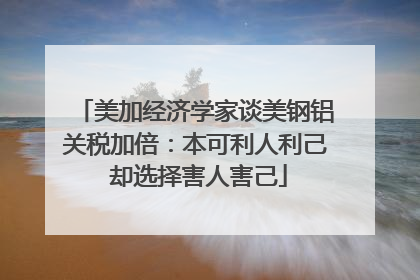 美加经济学家谈美钢铝关税加倍：本可利人利己 却选择害人害己