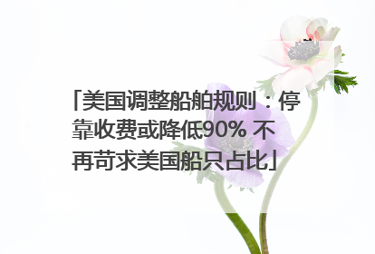 美国调整船舶规则：停靠收费或降低90% 不再苛求美国船只占比