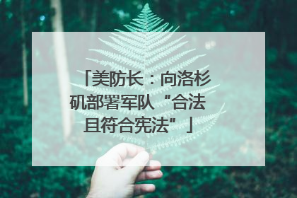 美防长：向洛杉矶部署军队“合法且符合宪法”