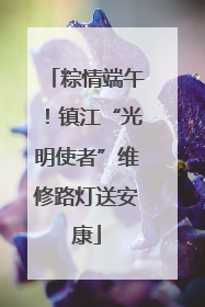 粽情端午！镇江“光明使者”维修路灯送安康