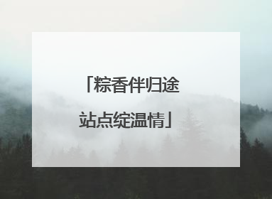 粽香伴归途 站点绽温情
