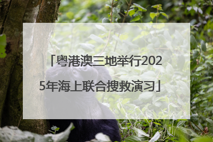 粤港澳三地举行2025年海上联合搜救演习