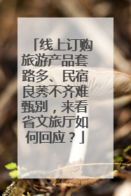 线上订购旅游产品套路多、民宿良莠不齐难甄别，来看省文旅厅如何回应？