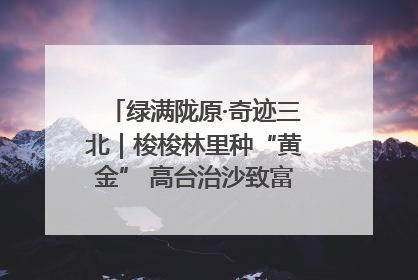 绿满陇原·奇迹三北｜梭梭林里种“黄金” 高台治沙致富很“从容”