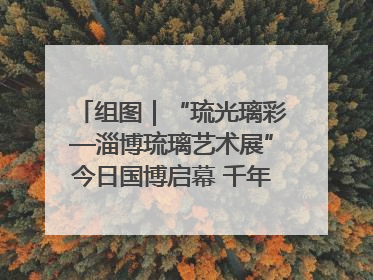 组图｜“琉光璃彩—淄博琉璃艺术展”今日国博启幕 千年窑火绽放京城