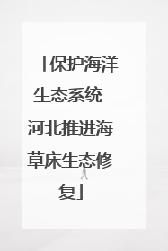 保护海洋生态系统 河北推进海草床生态修复