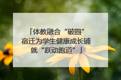体教融合“破圈” 宿迁为学生健康成长铺就“跃动跑道”
