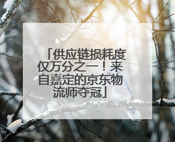供应链损耗度仅万分之一！来自嘉定的京东物流师夺冠