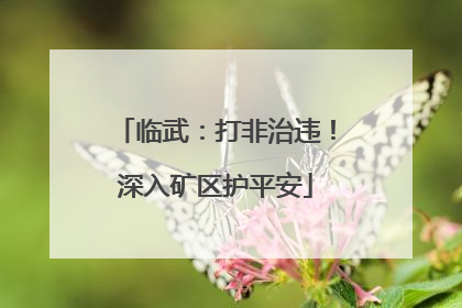 临武：打非治违！深入矿区护平安