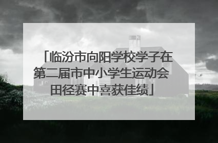 临汾市向阳学校学子在第二届市中小学生运动会田径赛中喜获佳绩
