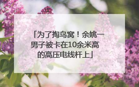 为了掏鸟窝！余姚一男子被卡在10余米高的高压电线杆上