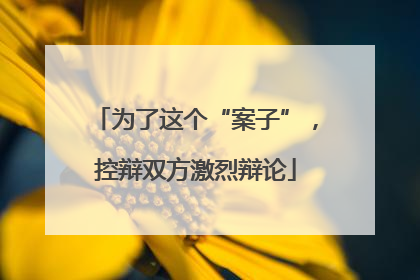 为了这个“案子”，控辩双方激烈辩论