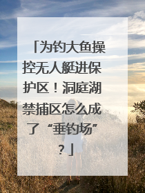 为钓大鱼操控无人艇进保护区！洞庭湖禁捕区怎么成了“垂钓场”？