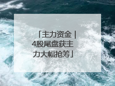 主力资金｜4股尾盘获主力大幅抢筹