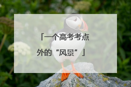 一个高考考点外的“风景”