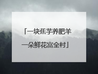 一块蕉芋养肥羊 一朵鲜花富全村