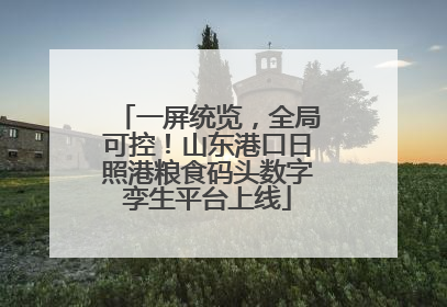 一屏统览，全局可控！山东港口日照港粮食码头数字孪生平台上线