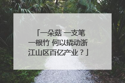 一朵菇 一支笔 一根竹 何以撬动浙江山区百亿产业？