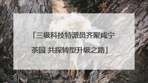 三级科技特派员齐聚咸宁茶园 共探转型升级之路