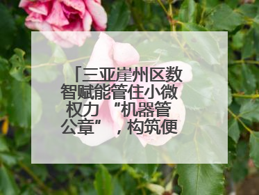 三亚崖州区数智赋能管住小微权力 “机器管公章”，构筑便民服务新生态