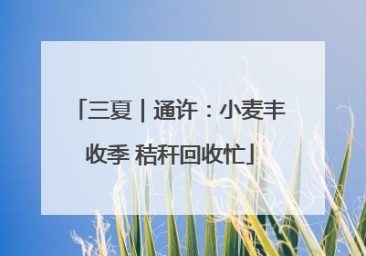 三夏｜通许：小麦丰收季 秸秆回收忙