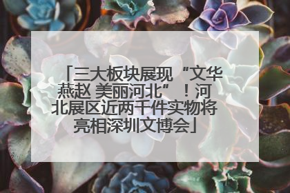 三大板块展现“文华燕赵 美丽河北”！河北展区近两千件实物将亮相深圳文博会
