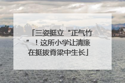 三姿挺立“正气竹”！这所小学让清廉在挺拔脊梁中生长