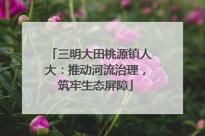 三明大田桃源镇人大：推动河流治理，筑牢生态屏障