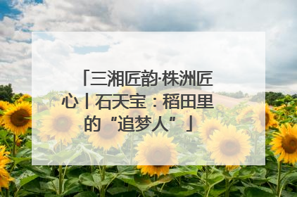 三湘匠韵·株洲匠心丨石天宝：稻田里的“追梦人”