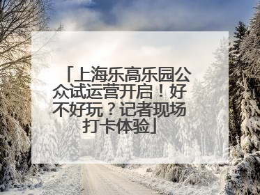 上海乐高乐园公众试运营开启！好不好玩？记者现场打卡体验