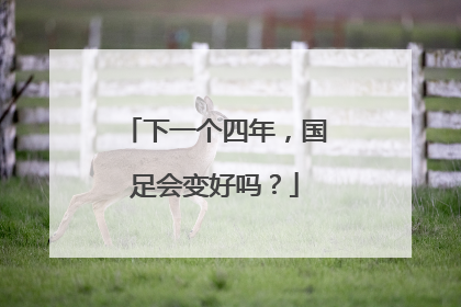下一个四年，国足会变好吗？