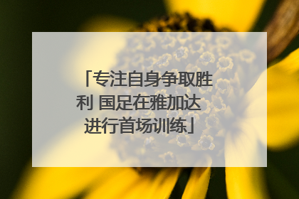 专注自身争取胜利 国足在雅加达进行首场训练