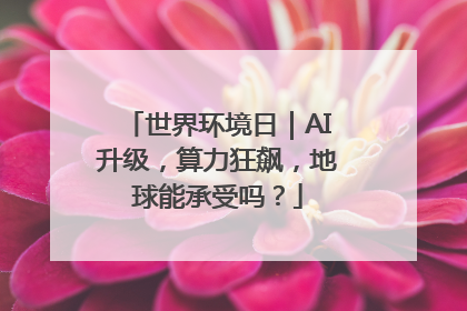 世界环境日｜AI升级，算力狂飙，地球能承受吗？