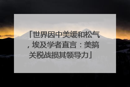 世界因中美缓和松气，埃及学者直言：美搞关税战损其领导力