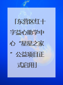 东营区红十字益心助学中心“星星之家”公益项目正式启用
