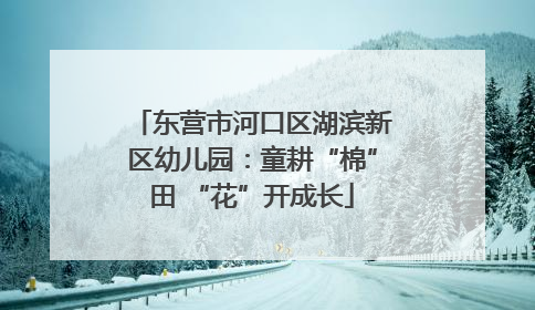 东营市河口区湖滨新区幼儿园：童耕“棉”田 “花”开成长