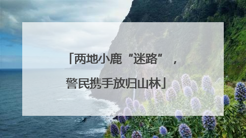 两地小鹿“迷路”，警民携手放归山林