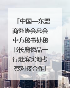 中国—东盟商务协会总会中方秘书处秘书长鹿德晶一行赴滨实地考察对接合作