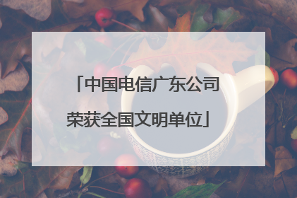 中国电信广东公司荣获全国文明单位