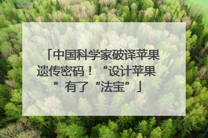 中国科学家破译苹果遗传密码！“设计苹果”有了“法宝”