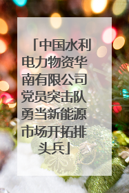 中国水利电力物资华南有限公司党员突击队勇当新能源市场开拓排头兵