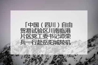 中国（四川）自由贸易试验区川南临港片区党工委书记谭荣兵一行赴岳阳城陵矶综保区考察
