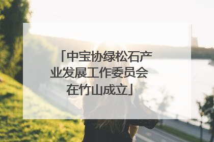 中宝协绿松石产业发展工作委员会在竹山成立