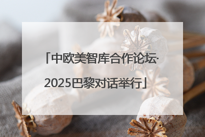 中欧美智库合作论坛·2025巴黎对话举行