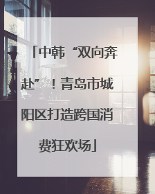 中韩“双向奔赴”！青岛市城阳区打造跨国消费狂欢场