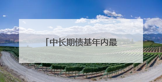 中长期债基年内最高涨超4%，超6成净值表现创新高