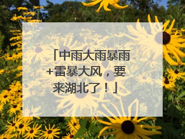 中雨大雨暴雨+雷暴大风，要来湖北了！