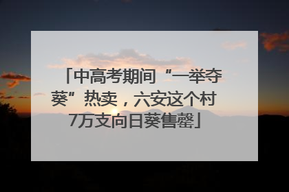 中高考期间“一举夺葵”热卖，六安这个村7万支向日葵售罄