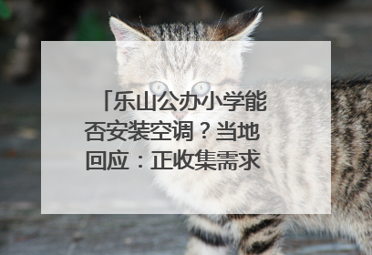 乐山公办小学能否安装空调？当地回应：正收集需求，部分中小学已启动安装｜云求助