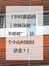 乡村邀请函｜密林深处“羊咩咩”，这个小山村如何逆袭？